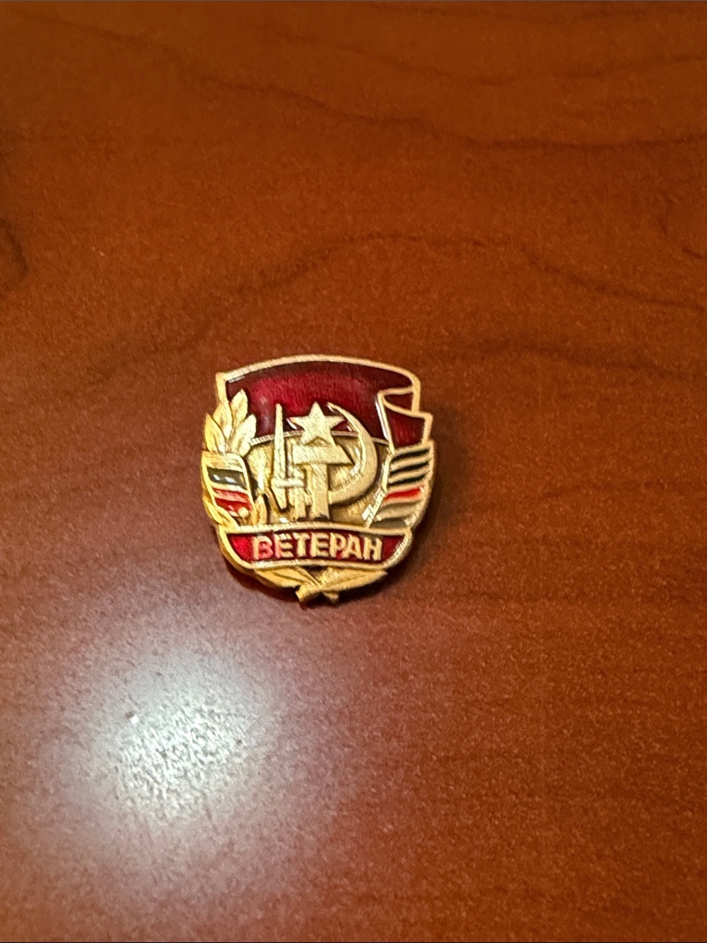 Vintage Soviet Union Veteran Enamel Pin Lapel Collectible Red Gold Size OS